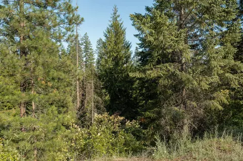 4417 Williamson Rd # g, Clayton, WA 99110