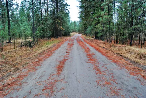 000 N Mathias Ln, Nine Mile Falls, WA 99026