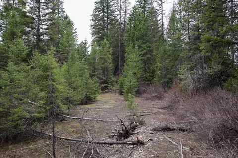 Nka Bear Rd, Newport, WA 99156