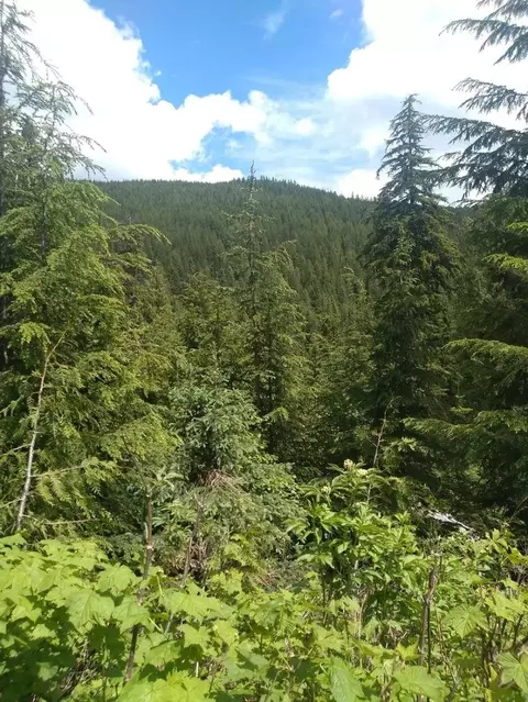 0 Cedar Creek Rd, Ione, WA 99139
