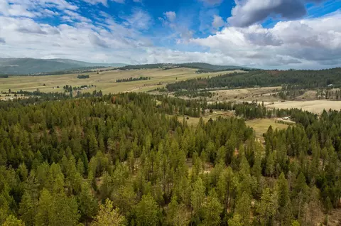 179 E Nn E Belmont Rd #LOT 1, Mica, WA 99023