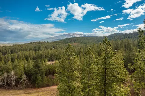 179 E Nn E Belmont Rd #LOT 3, Mica, WA 99023