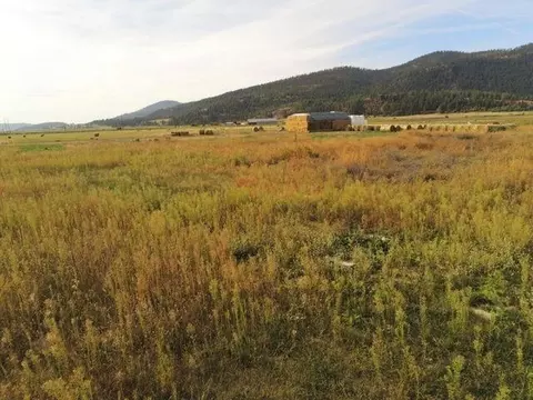1345 Indian Springs Trl, Chewelah, WA 99109