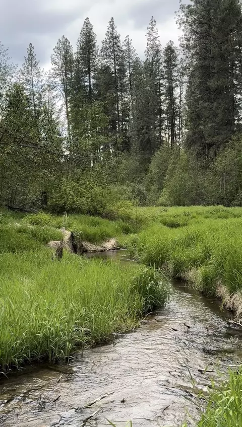 500 N Beck Ln #LOT 5, Springdale, WA 99173