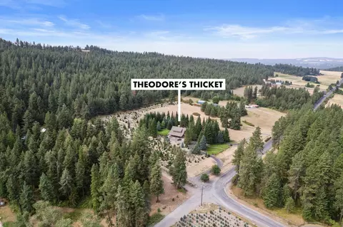 8121 E Bernhill Rd, Colbert, WA 99005 photo 43