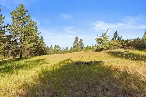 8121 E Bernhill Rd, Colbert, WA 99005 photo 38