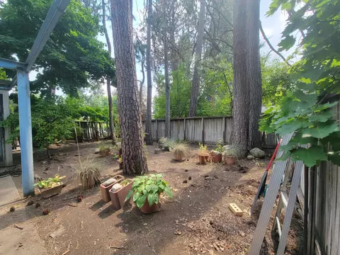1401 E 43rd Ave, Spokane, WA 99203 photo 5