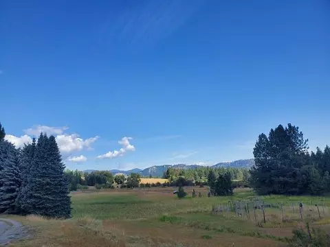 1935 Thoni Rd, Addy, WA 99101 photo 28
