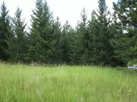 1935 Thoni Rd, Addy, WA 99101 photo 24