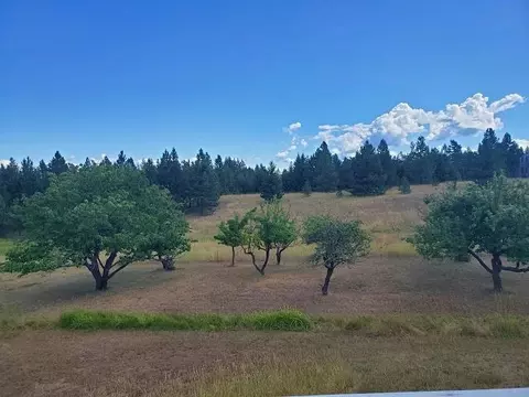 1935 Thoni Rd, Addy, WA 99101 photo 27