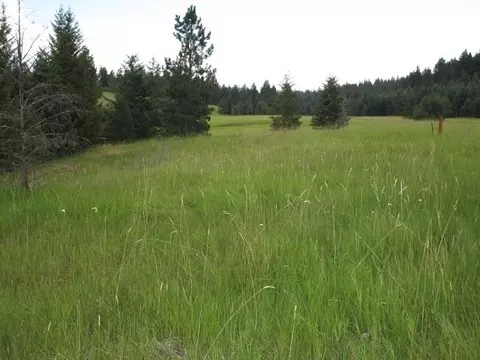 1935 Thoni Rd, Addy, WA 99101 photo 23