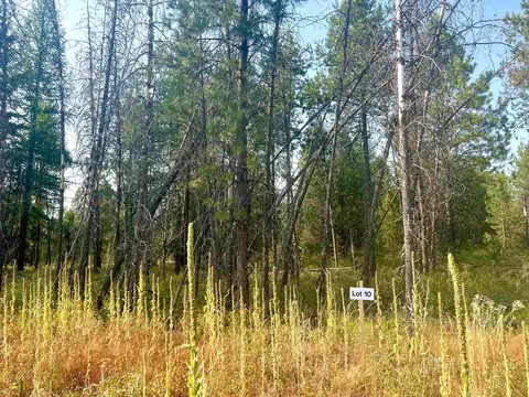 Nka W Findley Ln Lot 10, Deer Park, WA 99006