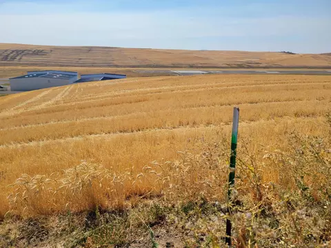 3082 Pullman Airport Road Rd, Pullman, WA 99163 photo 9