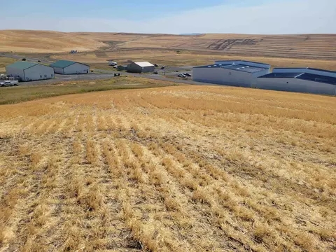 3082 Pullman Airport Road Rd, Pullman, WA 99163 photo 12