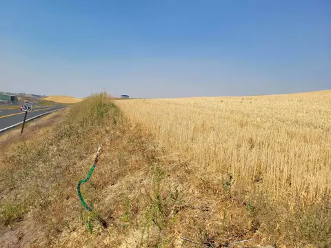 3082 Pullman Airport Road Rd, Pullman, WA 99163 photo 7