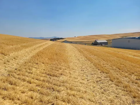 3082 Pullman Airport Road Rd, Pullman, WA 99163 photo 3