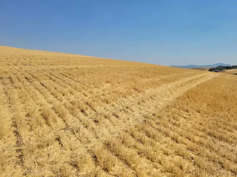 3082 Pullman Airport Road Rd, Pullman, WA 99163 photo 5