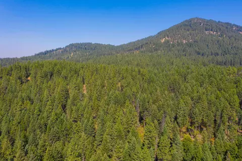 258 Flowery Trail Rd # x, Chewelah, WA 99109