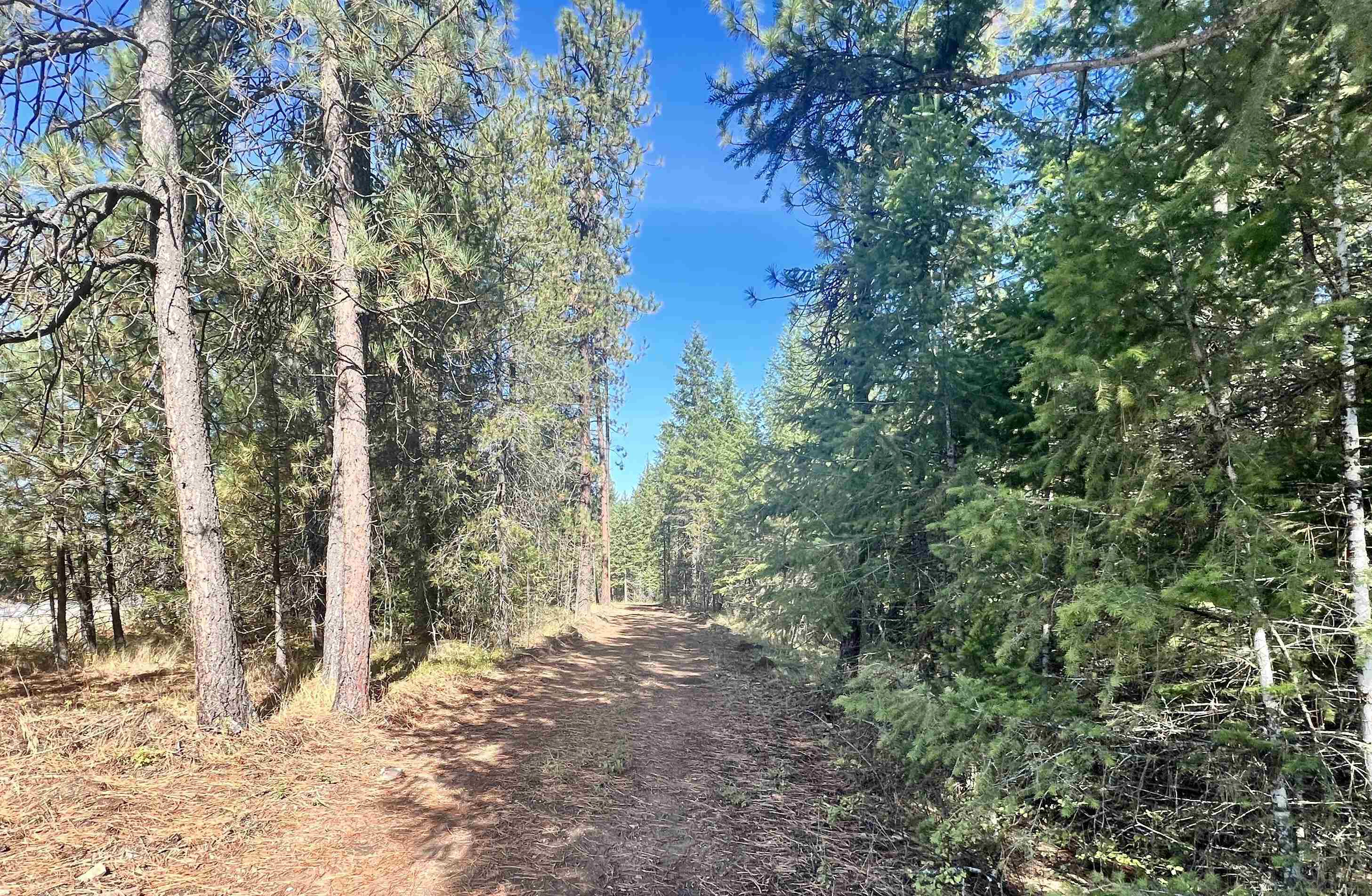 3265 Hwy 395 S Hwy  