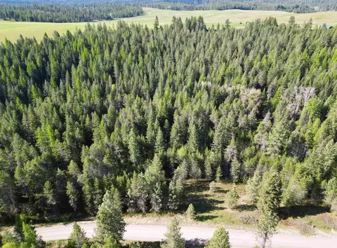 000 N Allen Rd #LOT A, Springdale, WA 99173