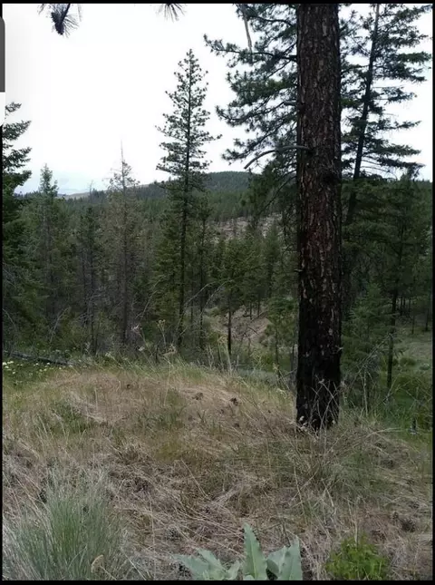 Nn Turk Rd, Fruitland, WA 99129
