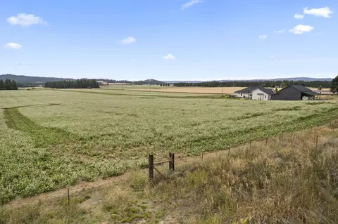 7302 E Big Meadows Rd, Chattaroy, WA 99003