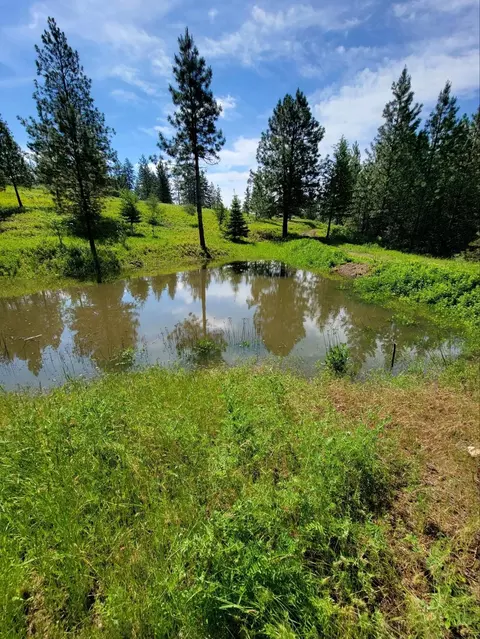 Kna Nnn Deer Meadow Ln, Chattaroy, WA 99003