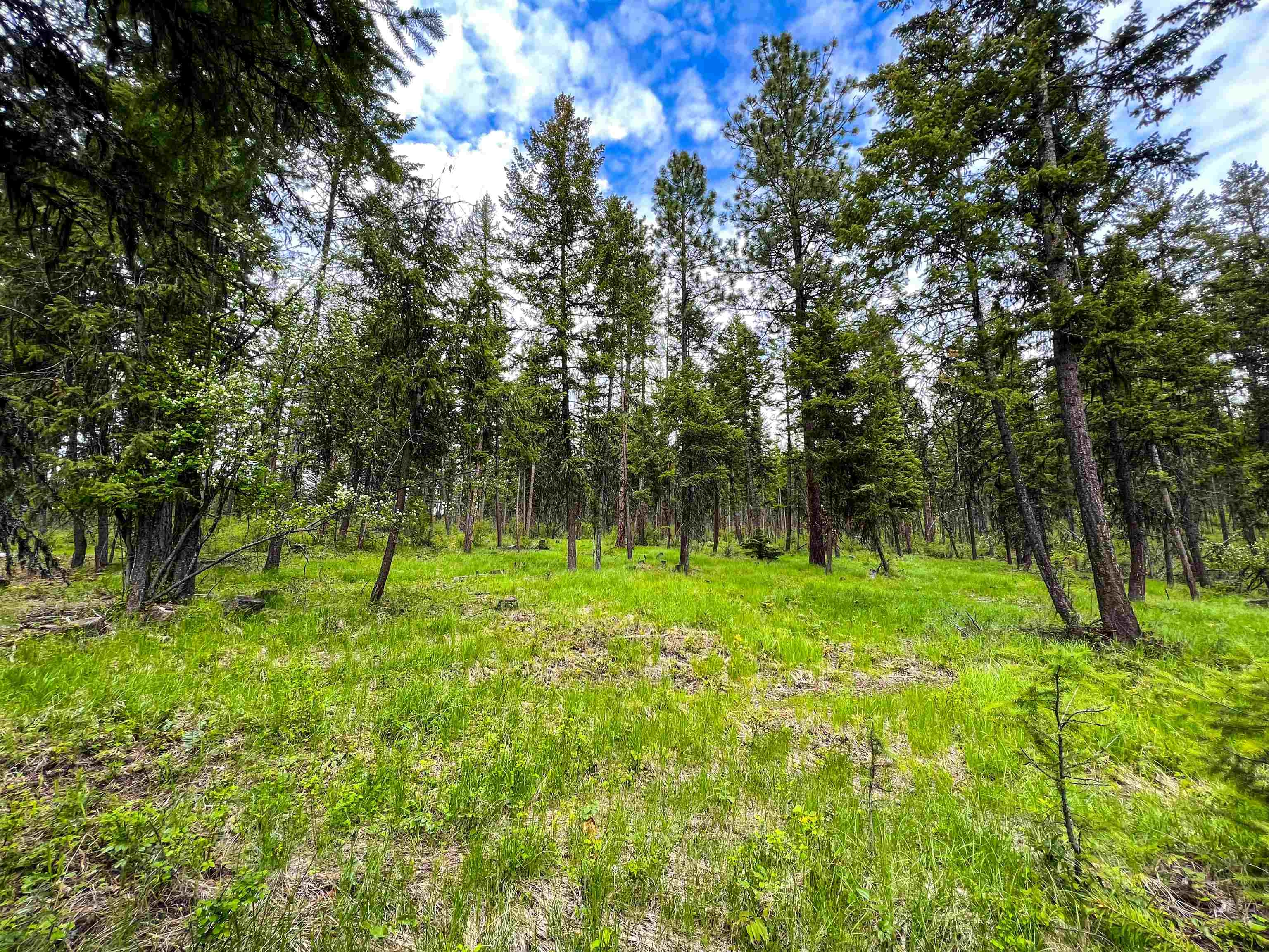 137 A South Basin Rd Unit x