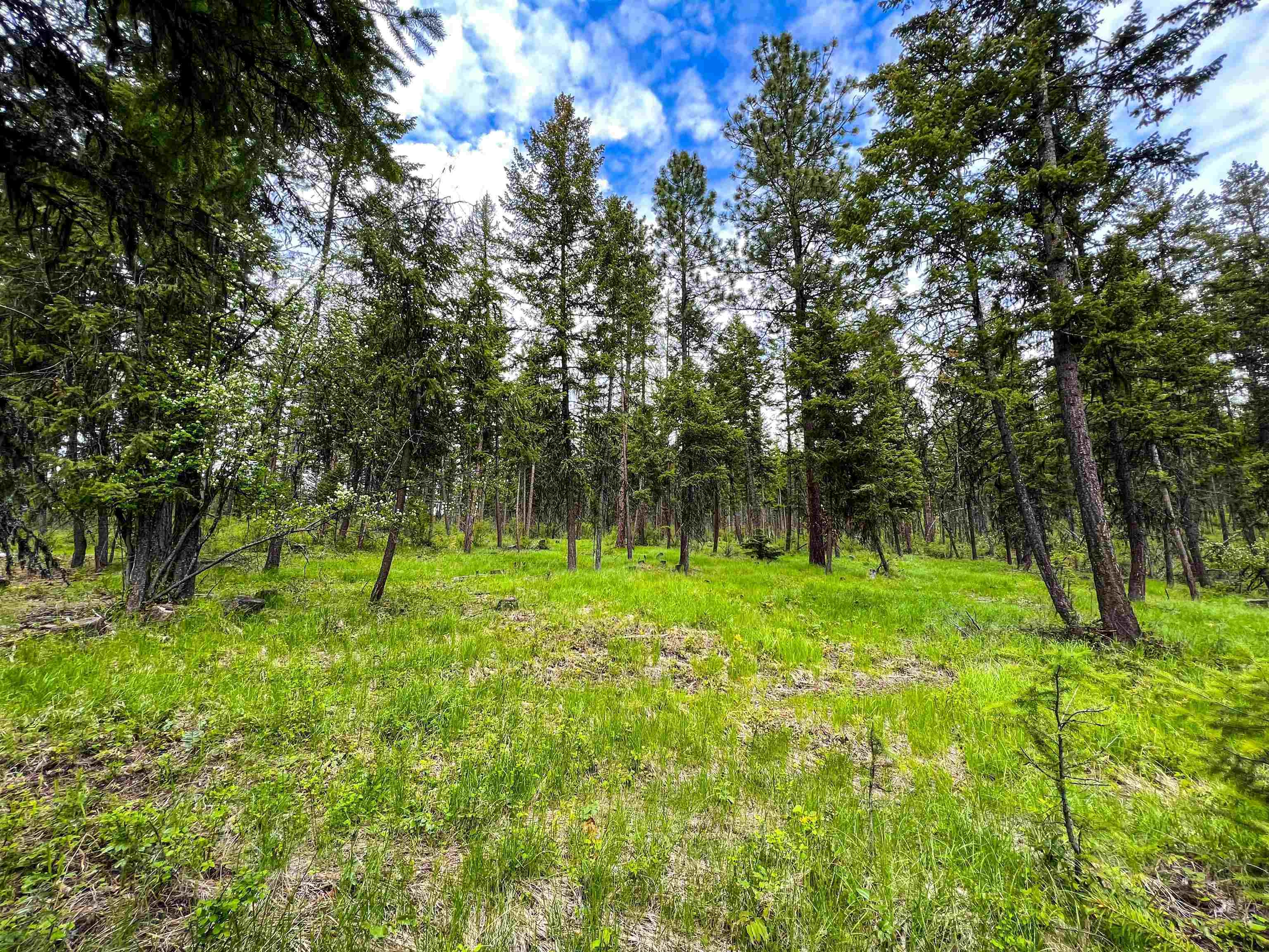 137 B South Basin Rd Unit x  