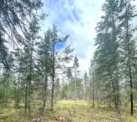 Nn North Deer Lake Rd, Loon Lake, WA 99148