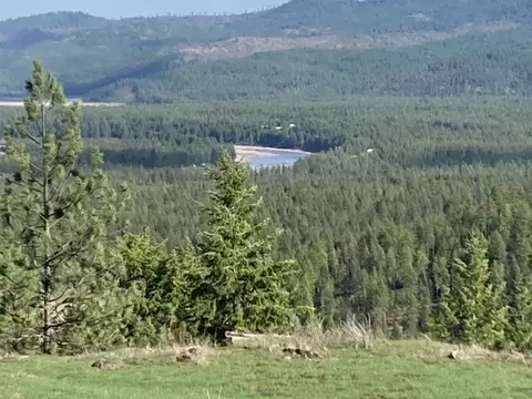 Nn Lyons Rd, Springdale, WA 99173