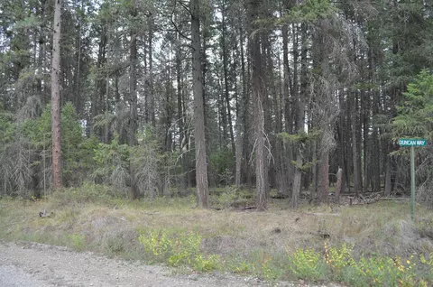 Nnn Duncan Way, Newport, WA 99156