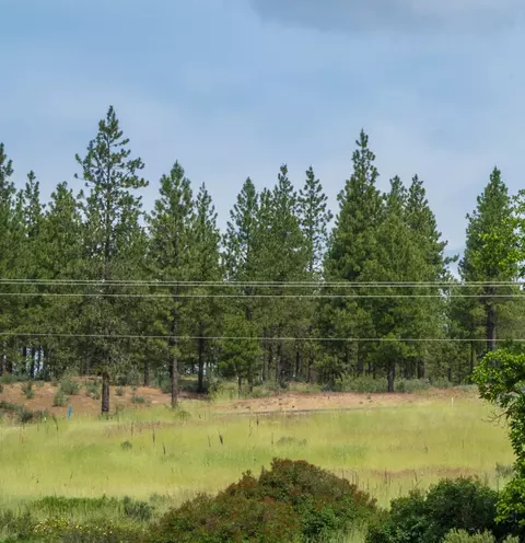 25276 E Pine Cone Ct, Lincoln, WA 99147