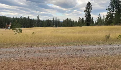 49700 N Forest Dr, Reardan, WA 99029