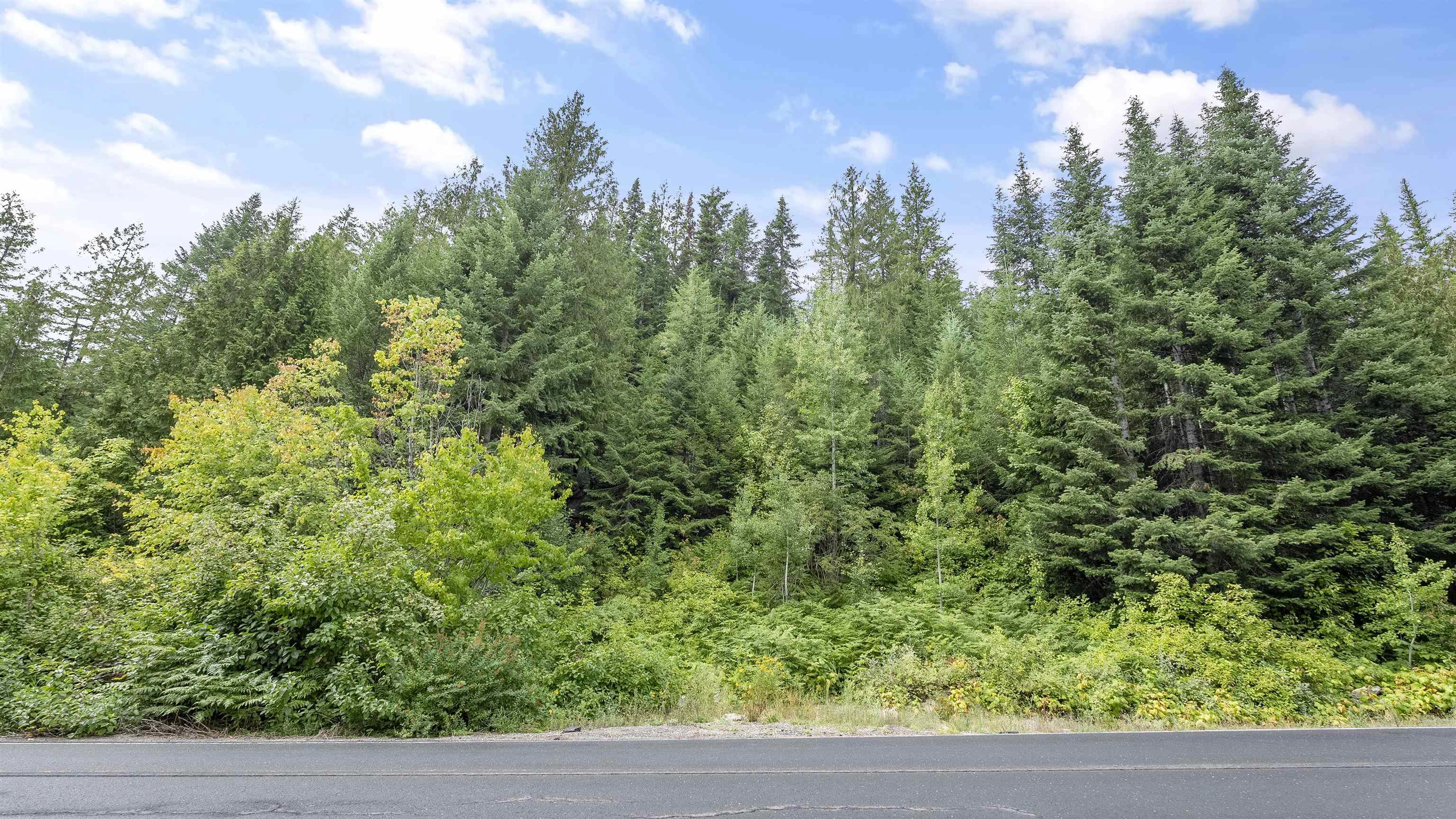 234 N Xx N Mt Spokane Park Dr