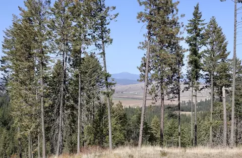20531 E Belmont Rd, Mica, WA 99023