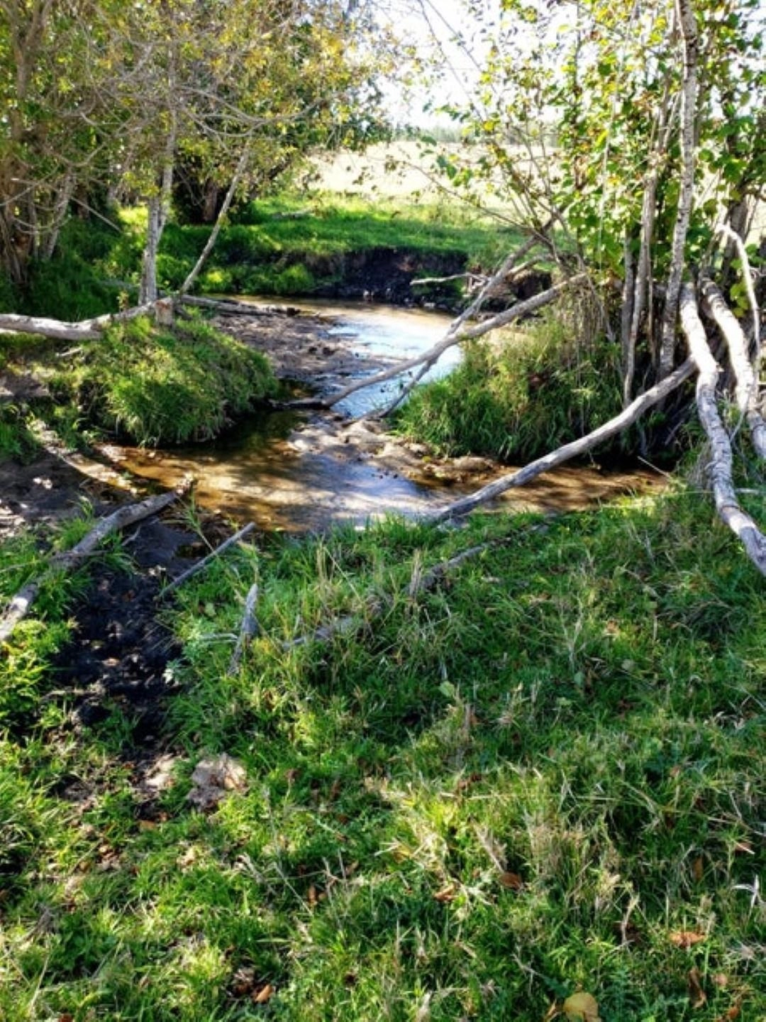 117 Lot B Kitt-narcisse Rd Unit X  