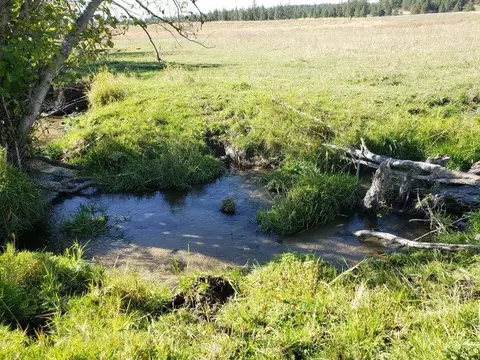 11 Nn Lot A Kitt-narcisse Rd, Colville, WA 99114
