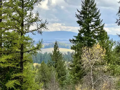 Nnnn S Starr Rd, Rockford, WA 99030