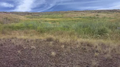 0 Scheibner Rd, Wilbur, WA 99185