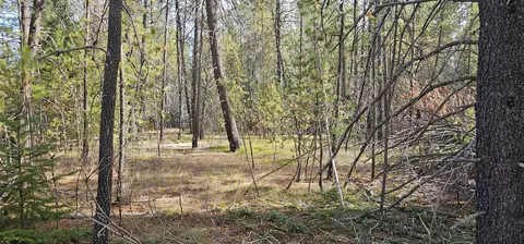 446 Springdale Hunters Rd # X, Springdale, WA 99173