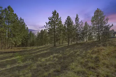 60878 Westview Dr #LOT 49, Nine Mile Falls, WA 99026