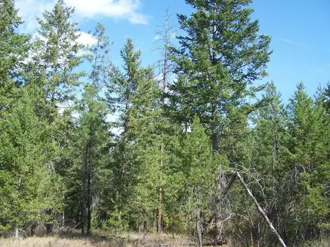 4 Nnn Lyon Hill Rd, Springdale, WA 99173