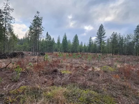 Tbd Agar Rd, Loon Lake, WA 99148