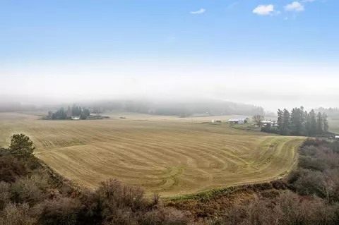 79 E Nn E Woolard Rd, Colbert, WA 99005 photo 3