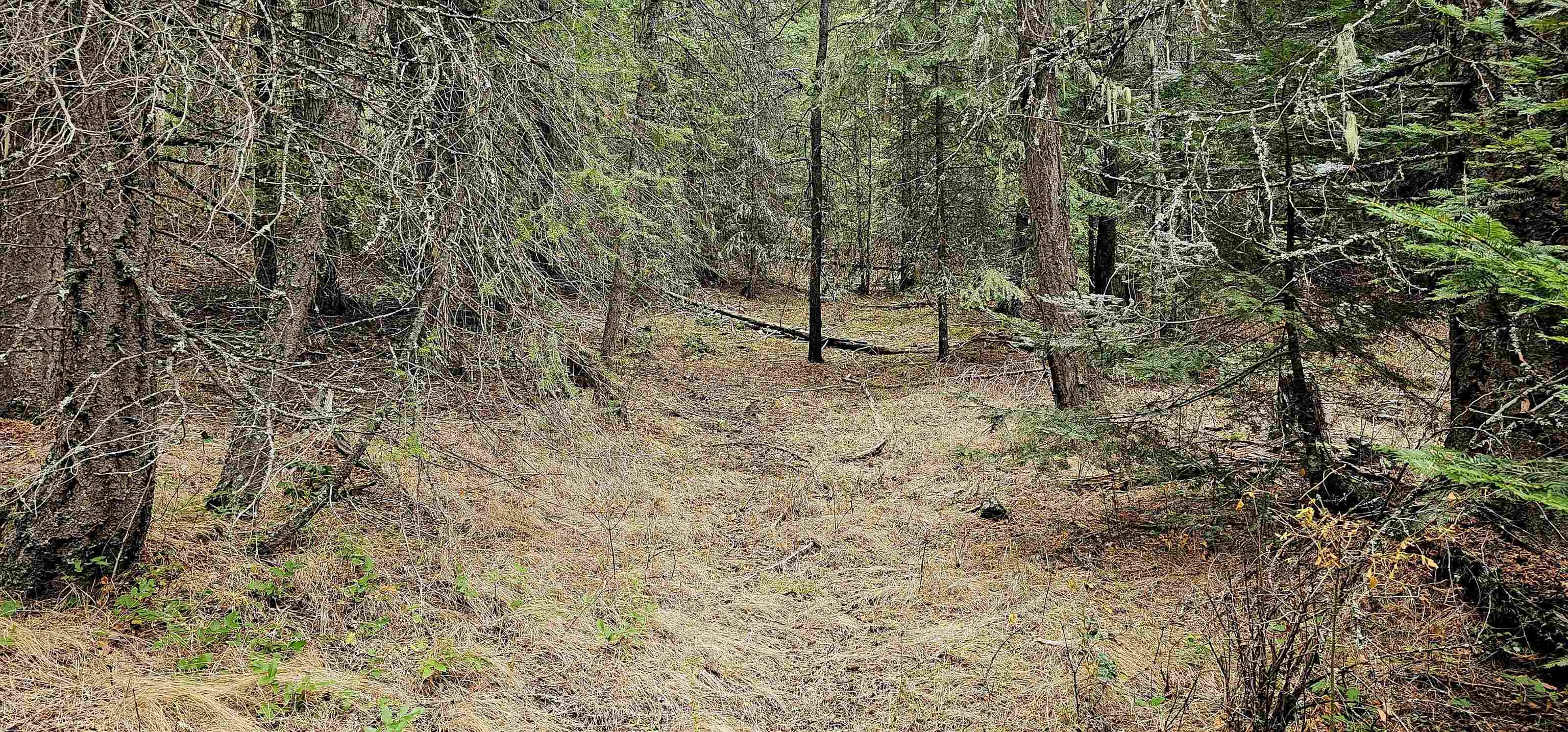 471 Springdale Hunters Rd Unit X  