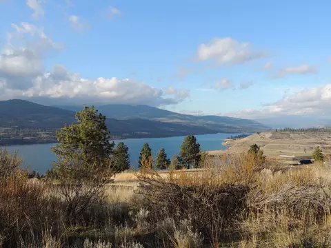 42770 Deer Heights Dr N, Davenport, WA 99122