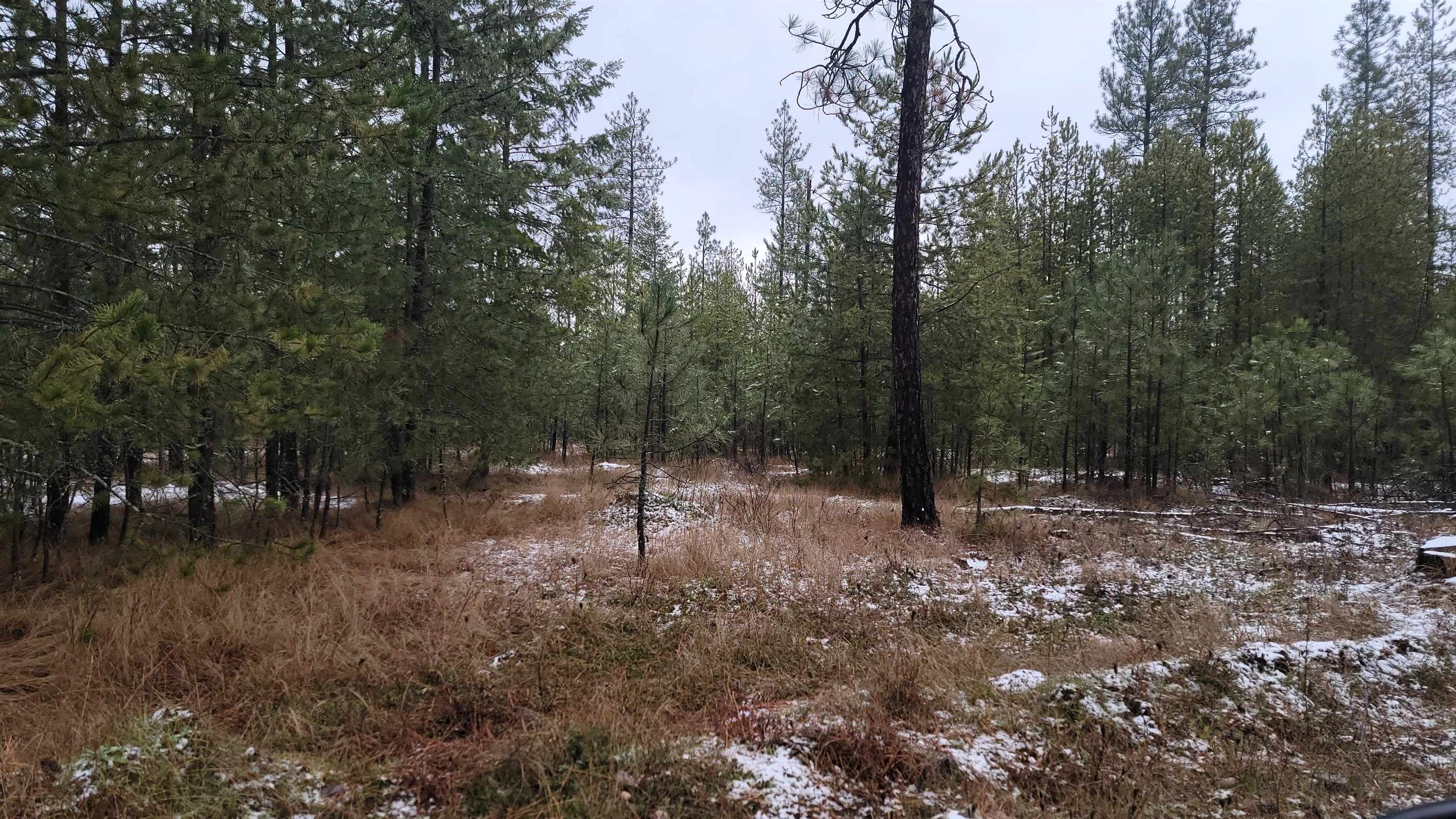 44-xx Woods Way  