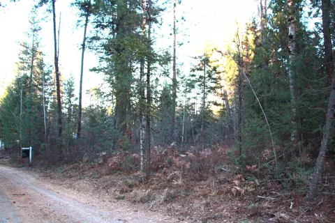 Tbd Forest Ln, Newport, WA 99156