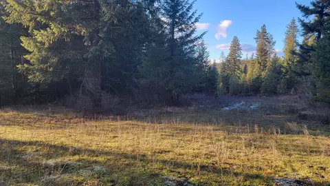 376 Duncan Way, Newport, WA 99156